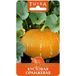 Тыква Кустовая Оранжевая