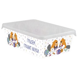 Лоток для мелочей Keeplex School с крышкой большой 20,5х14х7 см KL225511623