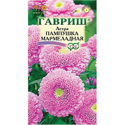 Астра Пампушка Мармеладная