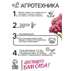 Семена Ваточник "Карминно-розовый", ц/п,  0,03 г