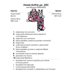 Комплект зимний для девочки: куртка, брюки