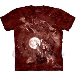 Футболка The Mountain "Wolf Moon Concert" (детская)