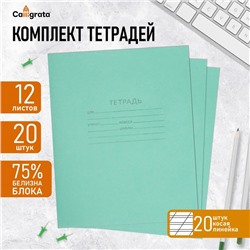 Набор тетрадей 12 листов в косую линейку «Зелёная обложка», белизна 75%, серые листы, 20 шт.