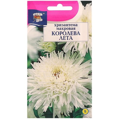 Семена цветов Хризантема многоцветковая "КОРОЛЕВА ЛЕТА", 0,03 г
