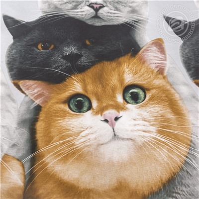 КПБ Пушистый патруль поплин Арт Дизайн