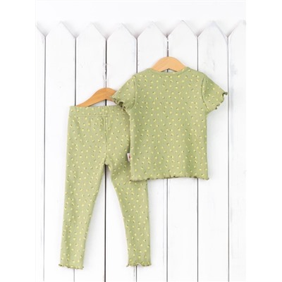 Комплект для девочки Baby Boom КД456/11-К цветочки на фисташке