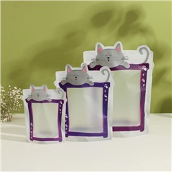 Набор пакетов для хранения сыпучих Доляна, застёжка zip-lock, 3 шт., 17×23.5 см, 13.7×19 см, 11×14.5 см