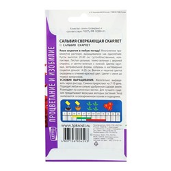 Семена цветов Сальвия Скарлет, О, 0,1г