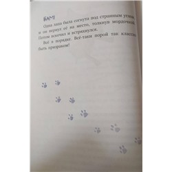 Уценка. Барбара Иланд-Олшевски. Берегись кролика! (выпуск 2)