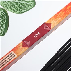 Благовония «Дыхание природы Муск», 8 палочек