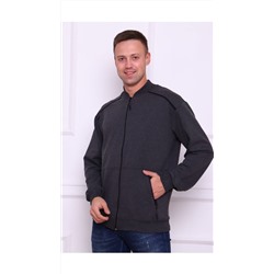 Толстовка мужская #032100084