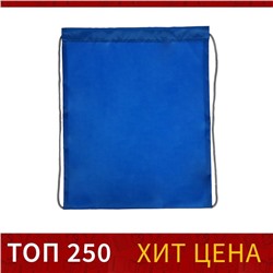 Мешок для обуви 420 х 340 мм, Calligrata "Стандарт", (мягкий полиэстер, плотность 210 D), синий, МИКС (синий/серый шнурок)