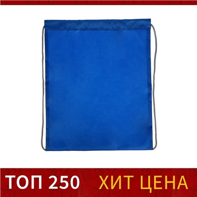 Мешок для обуви 420 х 340 мм, Calligrata "Стандарт", (мягкий полиэстер, плотность 210 D), синий, МИКС (синий/серый шнурок)