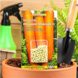 Семена Морковь «Лосиноостровская - 13», простое драже, 300 шт.