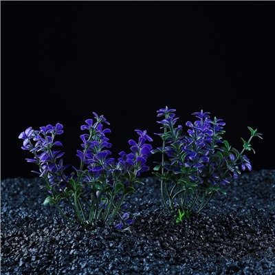 Набор растений для аквариума и террариума - 2 шт., 10 см