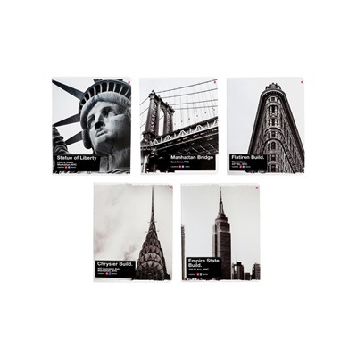 Тетрадь 96л кл NY-NY, МИКС