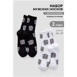 Носки мужские Драматик кот (набор 2 пары)
