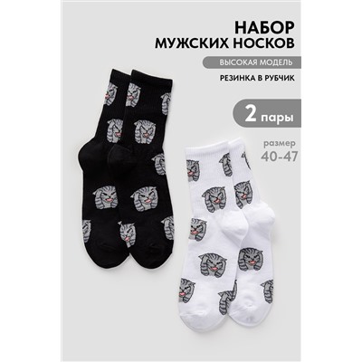 Носки мужские Драматик кот (набор 2 пары)