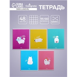 Тетрадь 48 листов в клетку Calligrata «Хорошо быть собакой», обложка мелованный картон, блок офсет, МИКС