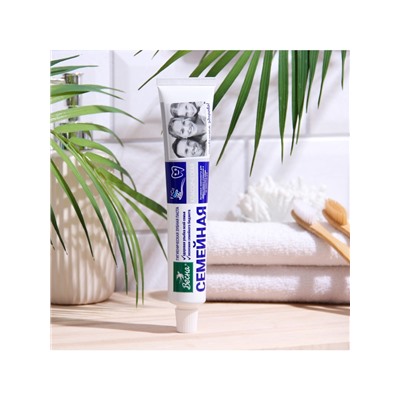 Зубная паста «Весна», классическая, для всей семьи, 90 г