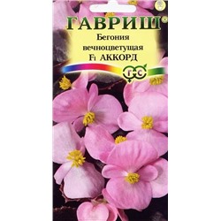 Семена Бегония Аккорд вечноцветущая F1, арт.: 73123