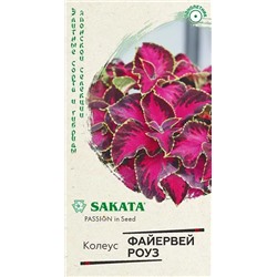 Семена Колеус Файервей Роуз, арт.: 9942