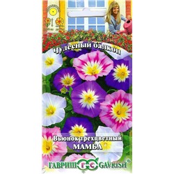 Семена Вьюнок Мамба трехцветный, арт.: 3847