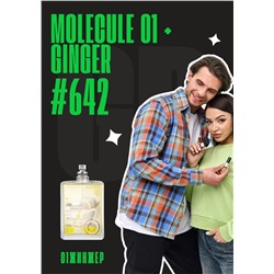Молекула 01 Имбирь / GET PARFUM 642