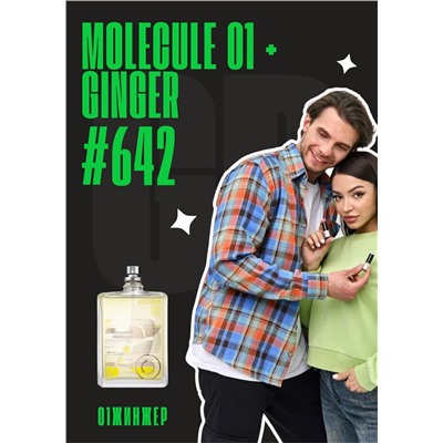 Молекула 01 Имбирь / GET PARFUM 642
