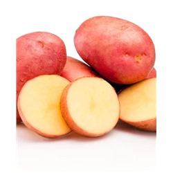 Семенной Картофель Легенда, арт.: 69507