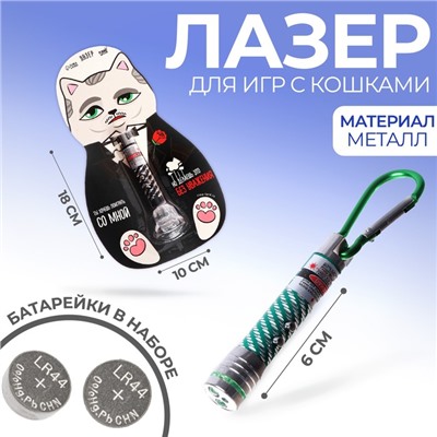 Лазер «Ты хочешь поиграть со мной?», цвета МИКС
