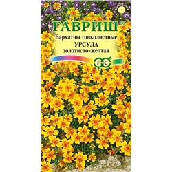 Бархатцы Урсула золотисто-желтая тонколистные, арт.: 3709