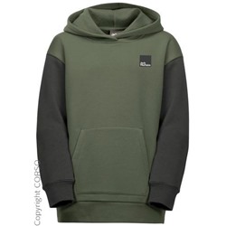 Kapuzenpullover