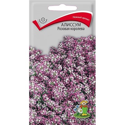 Семена Семена Алиссум Розовая королева, арт.: 3464