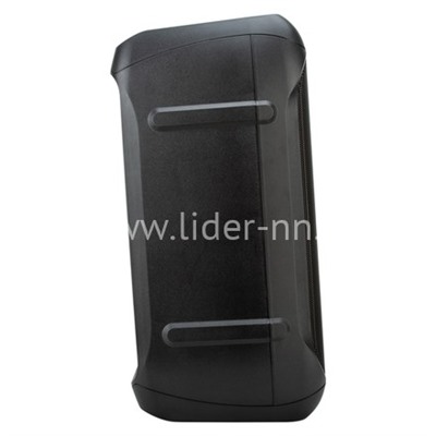 Колонка 06" (20-98 CRAZY BOX 1200) динамик 2шт/6.5" ELTRONIC с TWS