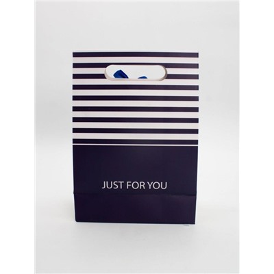 Пакет подарочный (M) "Many stripes", blue (19x 9 x 27)