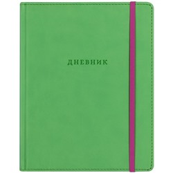 Дневник 1-11 кл. 48л. (твердый) BG "Яркий акцент(фисташковый)", иск. кожа, термотиснение, ляссе, резинка