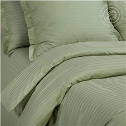 КПБ Фисташка (полоса) страйп-сатин Арт Дизайн