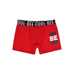 Трусы-боксеры для мальчика, 3 шт. в комплекте