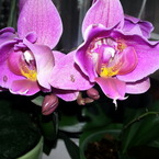 фото
