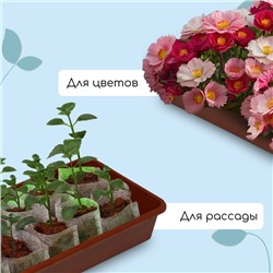 Ящик для рассады, 53×21.5×7.2 см, 7.5 л, пластик, МИКС