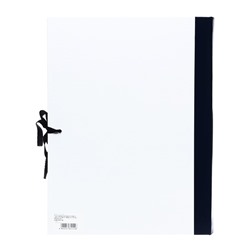 Папка архивная для переплета Calligrata «Форма 21», с гребешками, 4 отверстия, с 2 завязками, 50 мм