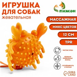 Игрушка массажная для собак "Краб" 12 см, ТПР, микс цветов