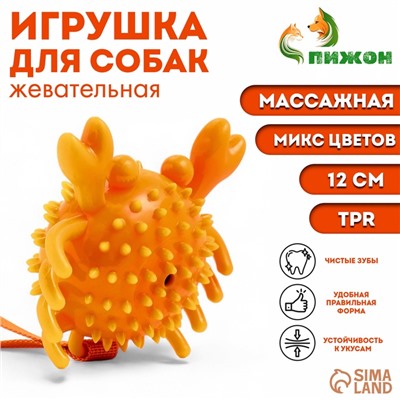 Игрушка массажная для собак "Краб" 12 см, ТПР, микс цветов