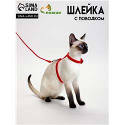 Комплект для кошек, ширина 1 см, ОШ 16,5-27 см, ОГ 21-35 см, поводок 120 см, красный