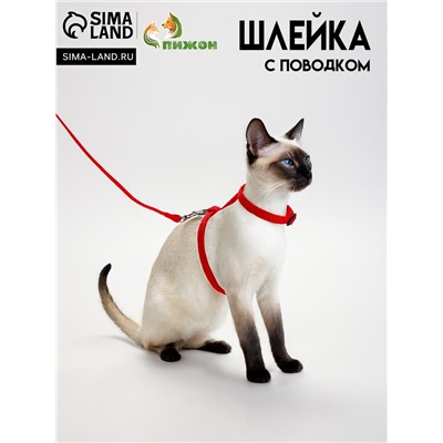 Комплект для кошек, ширина 1 см, ОШ 16,5-27 см, ОГ 21-35 см, поводок 120 см, красный