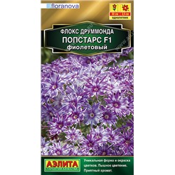 1634 Флокс друммонда Попстарс F1 фиолетовый 5шт