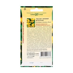 Семена комнатных цветов Эвкалипт «Флагман», 0.05 г, «Гавриш»