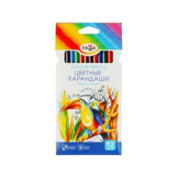 Карандаши цветные Гамма "Классические", 12цв., заточен., картон. упаковка, европодвес