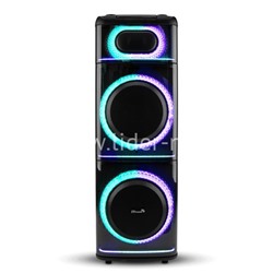 Колонка 12" (20-21 DIAMOND BOX 2500)  динамик 2шт/12" ElTRONIC с TWS